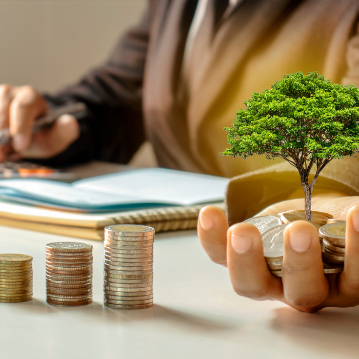Why Investing in Premium Hospitality Is Shaping the Future | Palm Island Hotels & Resorts